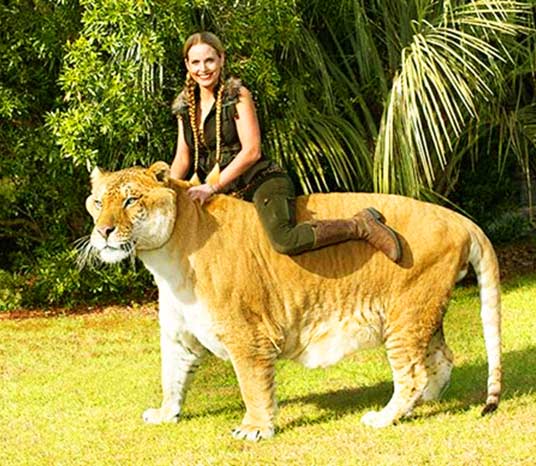 Bio Liger