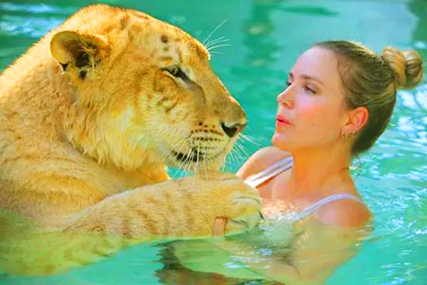 Moksha Bybee Swimming with a Liger. 