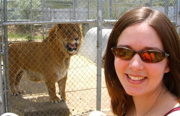 Liger - A visitor having a photograph with Hobbs the liger.