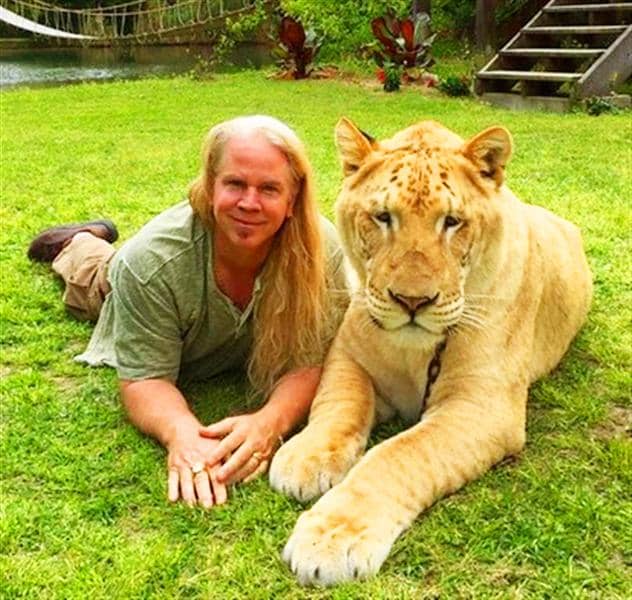 Ligers are healthy and live normally - Dr. Bhagavan Antle