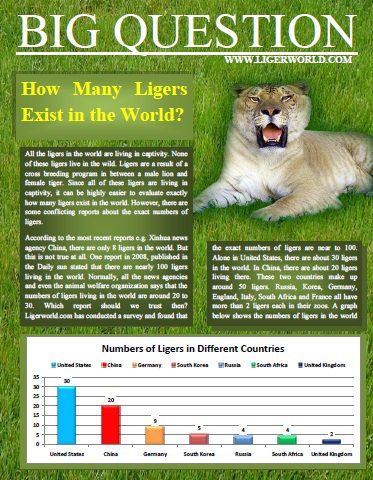 Ligers in the World. Ligers Population. How many ligers are in the world.