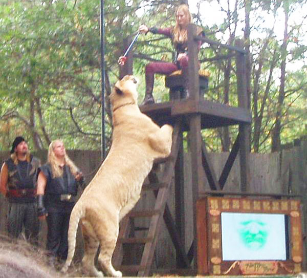 Liger Hercules consumes 30 pounds of meat per day.