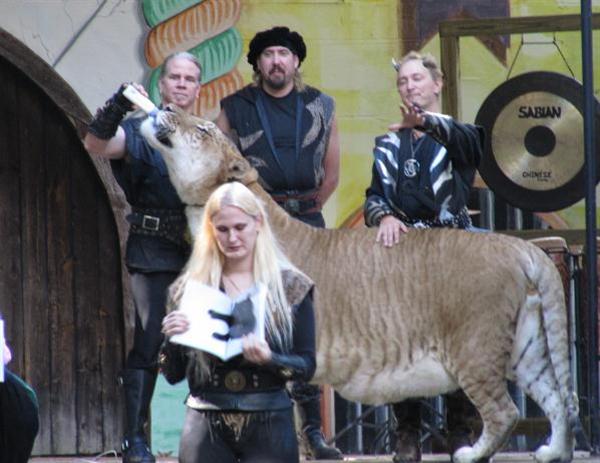 Liger Hercules appears at King Richards Faire. 