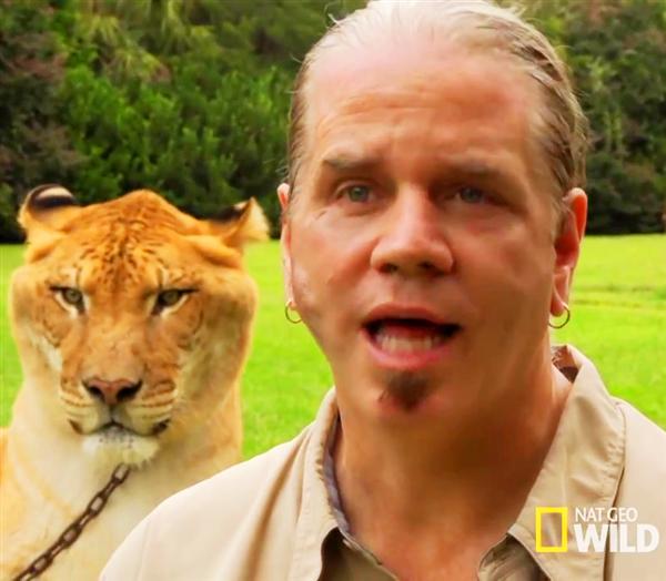 Liger Hercules National Geographic along with Dr. Bhagavan Antle.