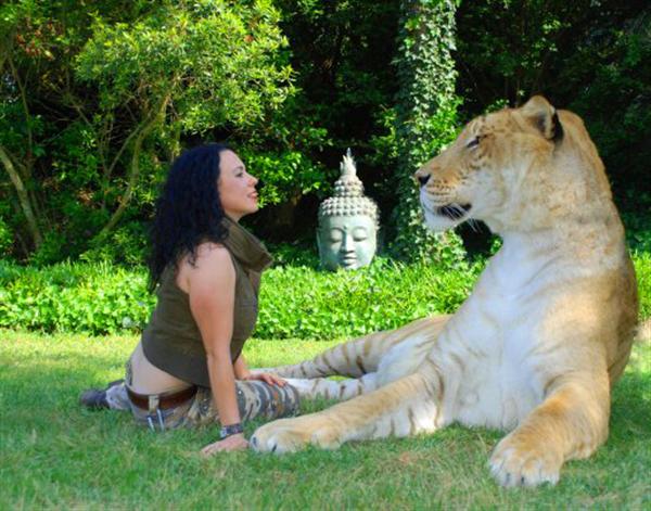 Liger Hercules Picture with its trainer Rajani Ferrante.