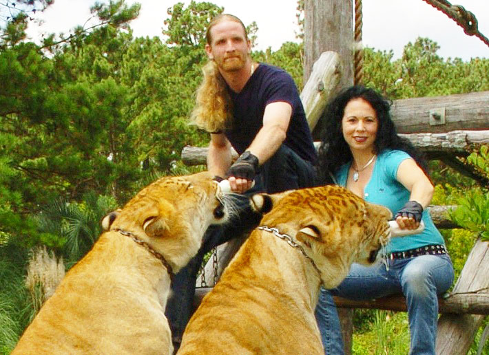 Liger Hercules its brother with Rajani Ferrante who is feeding them on milk.