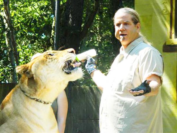 Liger Hercules travels with Dr. Bhagavan Antle.